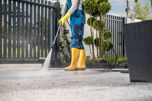 Best Eco-Friendly Pressure Washing in Lucasville, OH